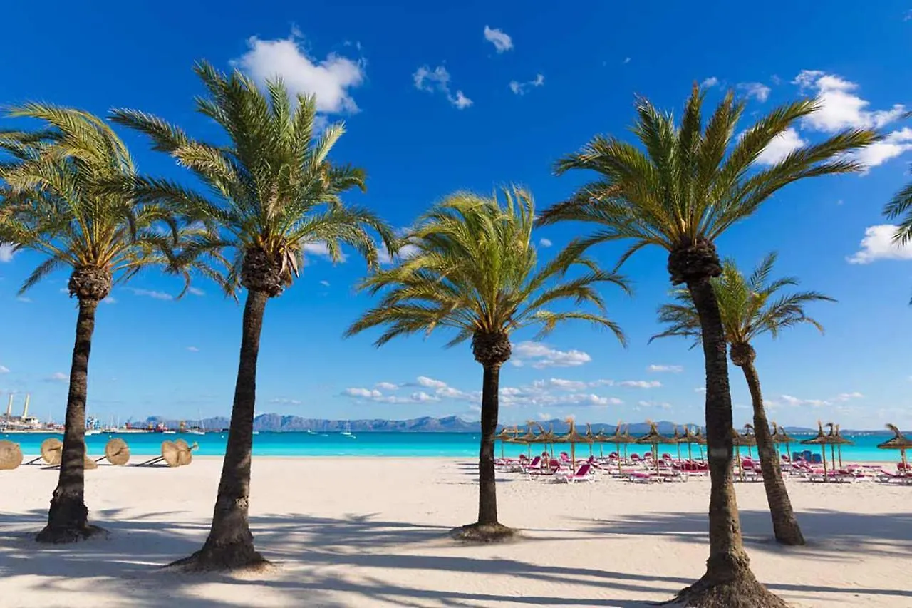 Apartment Paradise Bay 5 At Alcudia Beach, Salzes 5 0*, Alcudia (Mallorca)
