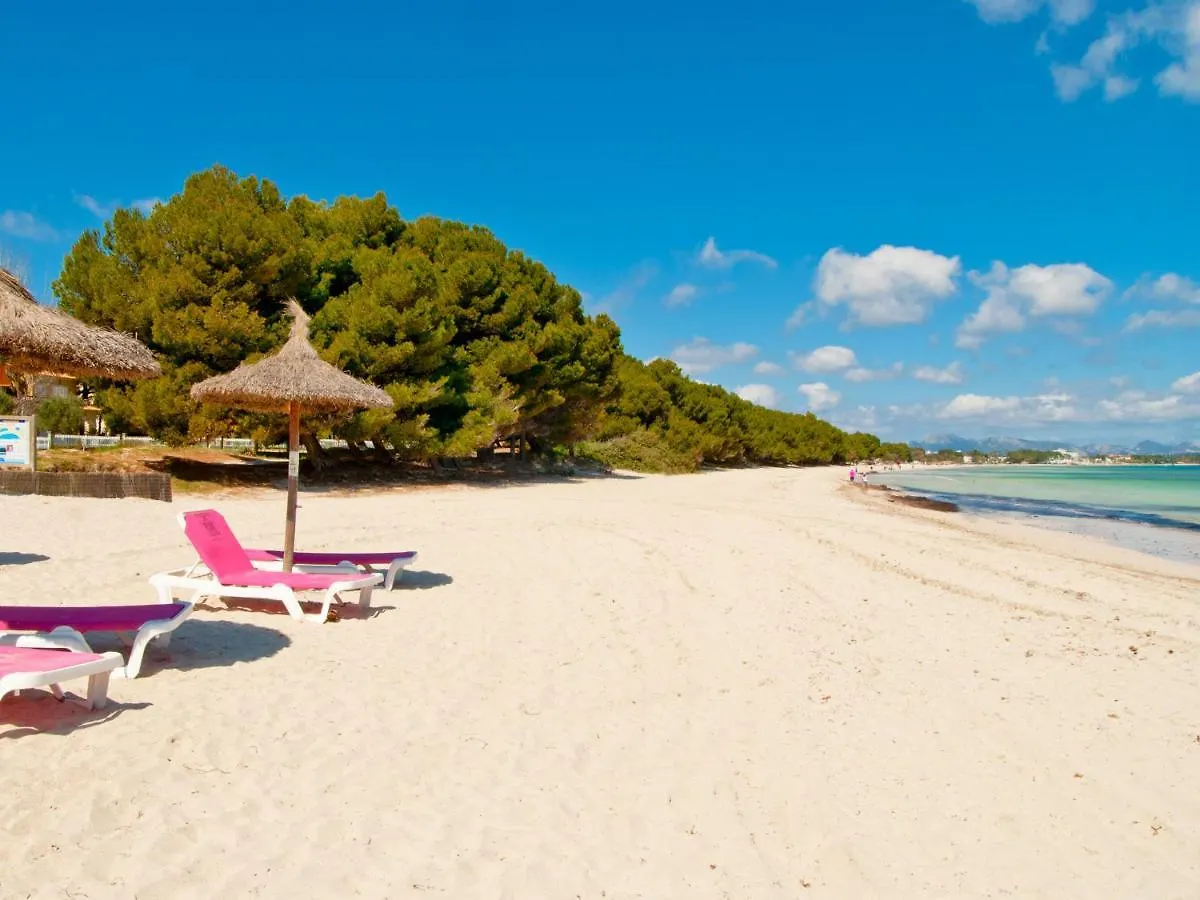 Apartment Paradise Bay 5 At Alcudia Beach, Salzes 5